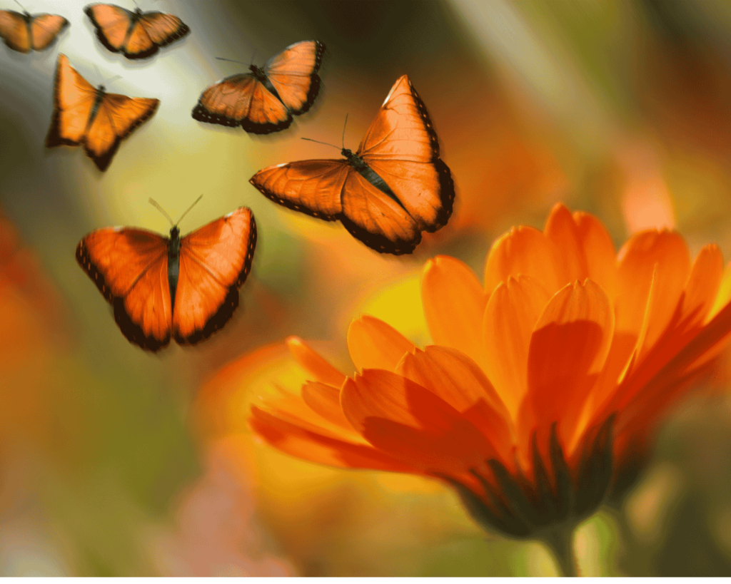 Stage de développement personnel : transformez votre vie, la méthode Louise Hay